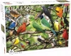 Puzzle 500 Animals: Exotic Birds - zdjęcie