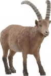 Wild Life. SLH14873. Koziorożec alpejski - zdjęcie