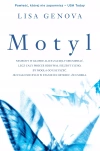 Motyl - zdjęcie