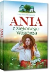 Ania z Zielonego Wzgórza - zdjęcie