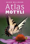 Atlas motyli - zdjęcie