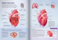 Nowa Biologia na czasie 3. Podręcznik dla liceum ogólnokształcącego i technikum. Zakres rozszerzony. Nowość 2026, zdjęcie 12