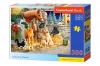 Puzzle 300 elementów. Gathering Friends - zdjęcie