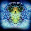 Finnegans Wake LP BLACK, Winyl - zdjęcie