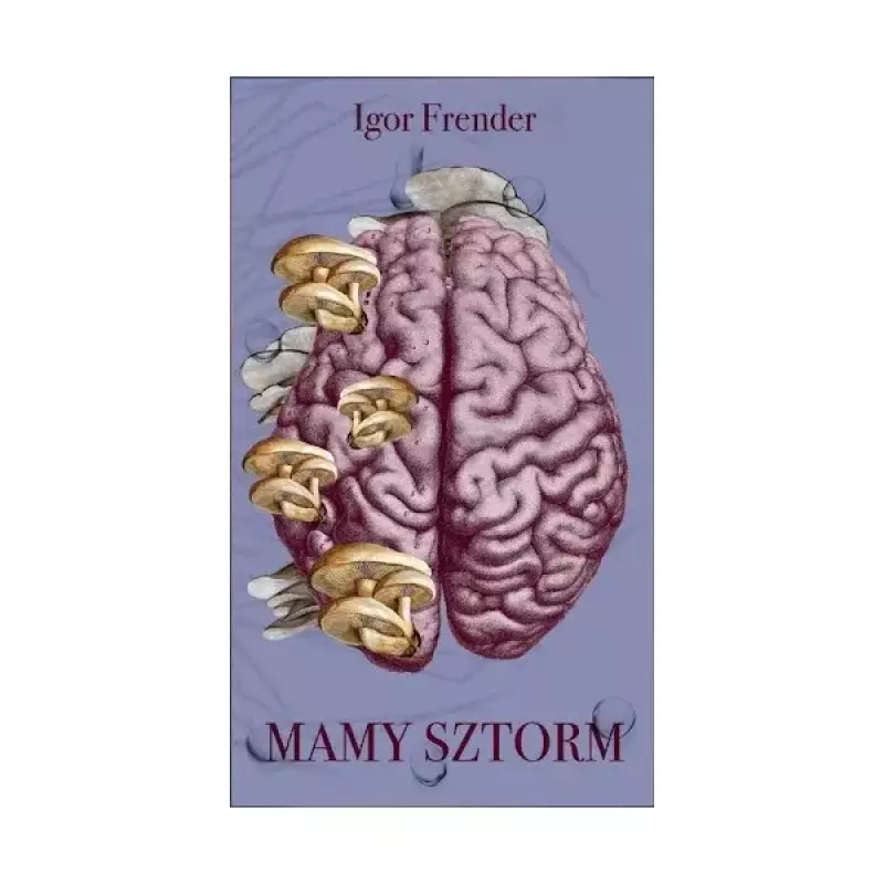 Mamy sztorm