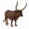 Byk Ankole-Watusi - zdjęcie