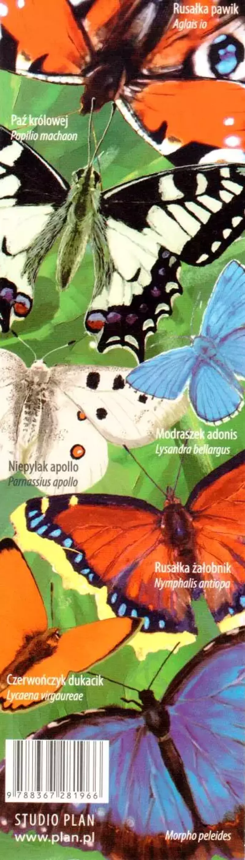 Zakładka do książki, motyle