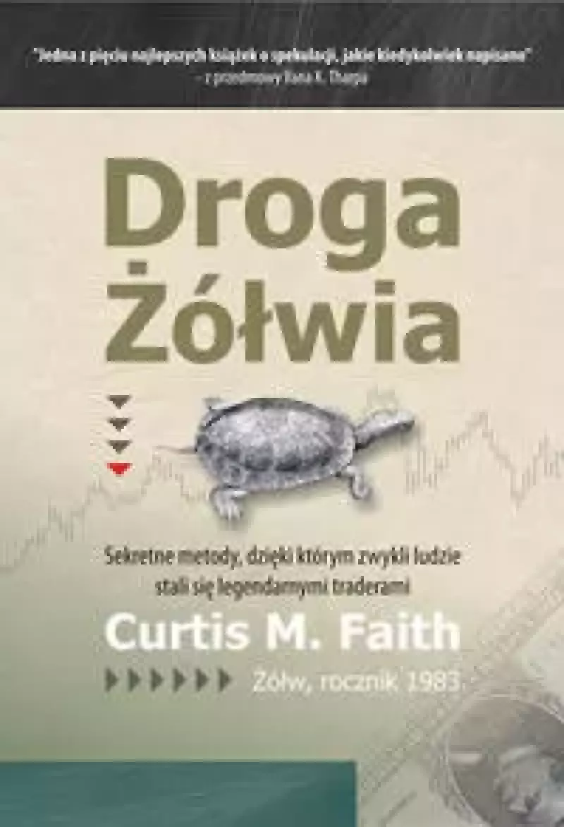 Droga Żółwia Droga Żółwia