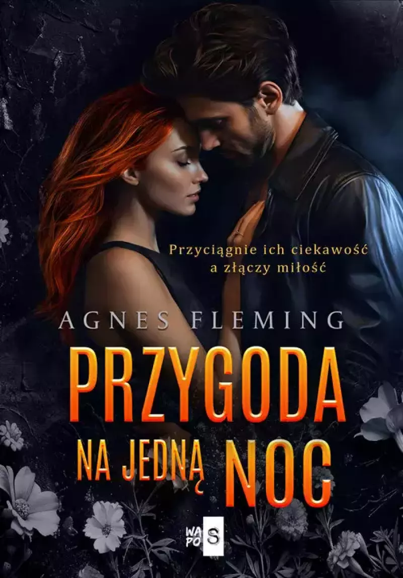 Przygoda na jedną noc Przygoda na jedną noc