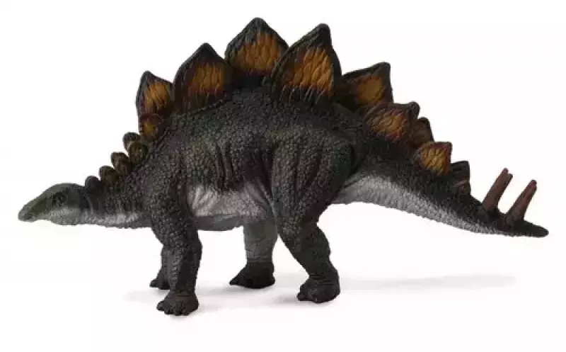 Dinozaur stegosaurus Dinozaur stegosaurus