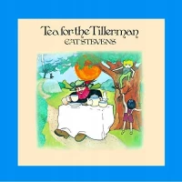 cat stevens 'tea for the tillerman', CD, zdjęcie 6