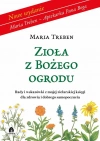 Zioła z Bożego ogrodu - zdjęcie