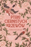 Ptaki ciernistych krzewów - zdjęcie