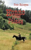 Konno przez Polskę - zdjęcie