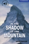 In the Shadow of the Mountain Level 5 - zdjęcie