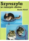 Szynszyla w naszym domu - zdjęcie