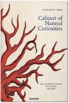 Cabinet of Natural Curiosities - zdjęcie