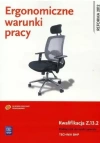 Ergonomiczne warunki pracy. Kwalifikacja Z.13.2. Podręcznik do nauki zawodu. Technik BHP - zdjęcie