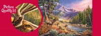 Puzzle 1000 elementów. Wrześniowy krajobraz 30523, zdjęcie 3