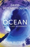 Ocean wer. angielska - zdjęcie
