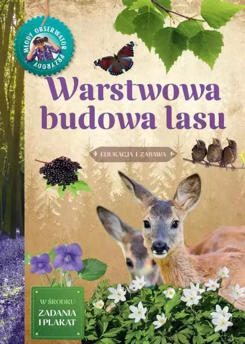 Warstwowa budowa lasu Warstwowa budowa lasu