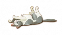 Purrramida, zdjęcie 13