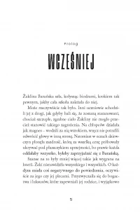 BESTIEs, zdjęcie 2