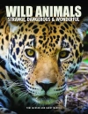 Wild Animals - zdjęcie