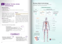 Nowa Biologia na czasie 3. Podręcznik dla liceum ogólnokształcącego i technikum. Zakres rozszerzony. Nowość 2026, zdjęcie 11
