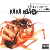 Infest. CD - zdjęcie