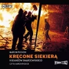 Kręcone siekierą. 9 seansów Smarzowskiego. Audiobook - zdjęcie