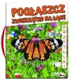 Przytulki. Pogłaszcz zwierzątko na łące - zdjęcie