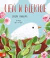 Cień w błękicie - zdjęcie
