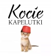 Kocie kapelutki - zdjęcie