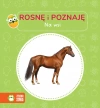 Rosnę i poznaję. Na wsi - zdjęcie