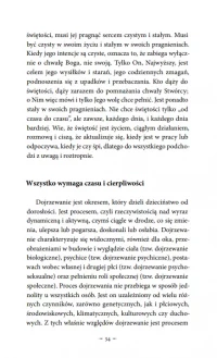 Życie jako dojrzewanie świętości, zdjęcie 35