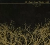If These Trees Could Talk, CD - zdjęcie