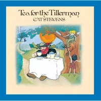 cat stevens 'tea for the tillerman', CD, zdjęcie 5