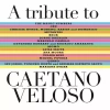 A Tribute To Caetano Veloso, CD - zdjęcie