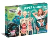 Naukowa zabawa. Super Anatomia - zdjęcie