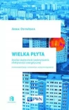 Wielka Płyta. Analiza skuteczności podwyższania efektywności energetycznej - zdjęcie
