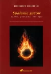 Spalanie gazów - zdjęcie