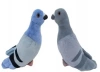 Gołąb 22cm MIX - zdjęcie