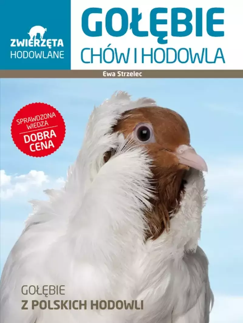 Gołębie. Chów i hodowla Gołębie. Chów i hodowla