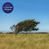 A Fleeting Glimpse, CD - zdjęcie