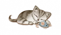 Purrramida, zdjęcie 11