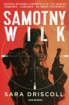 Samotny wilk - zdjęcie