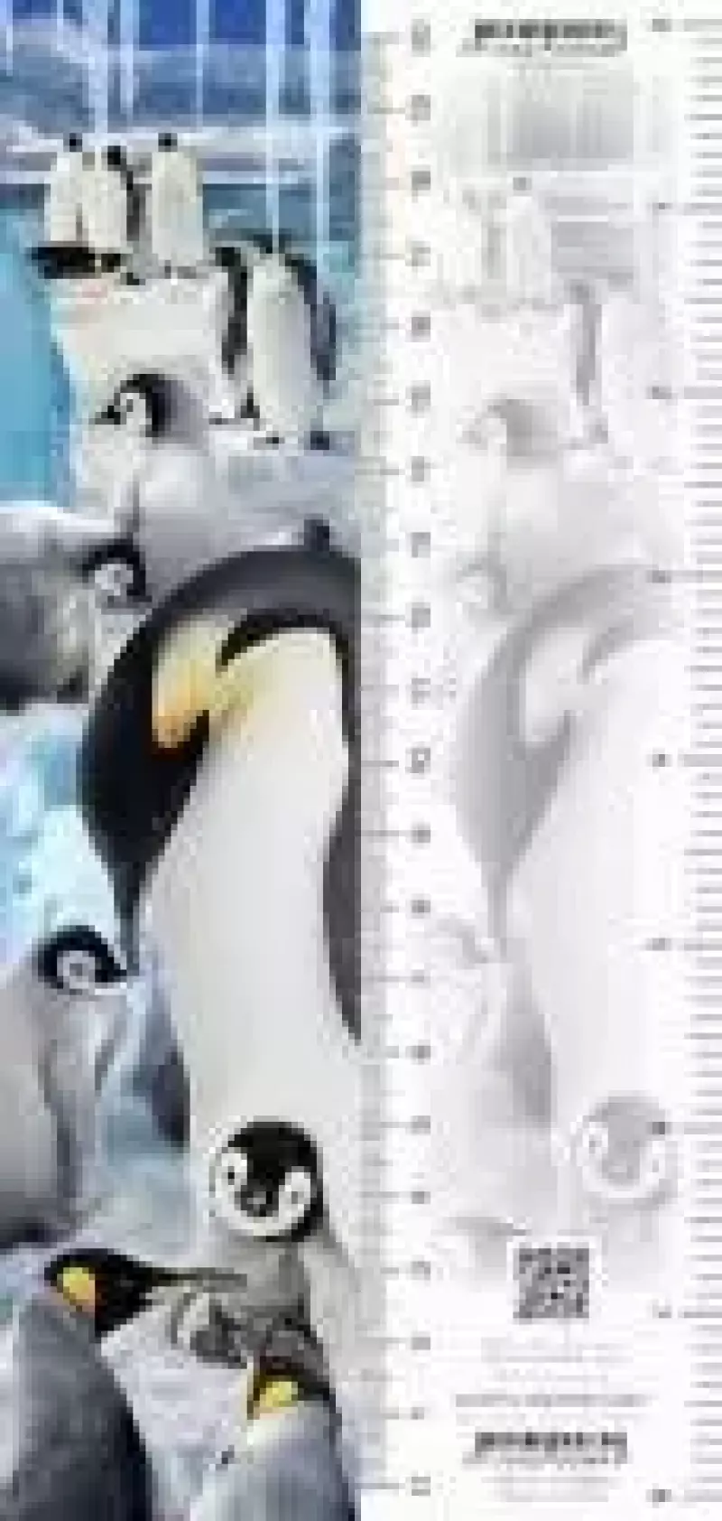 Zakładka 3D Pingwiny Zakładka 3D Pingwiny