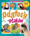Odgłosy ptaków. 60 dźwięków - zdjęcie