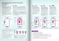 Nowa Biologia na czasie 3. Podręcznik dla liceum ogólnokształcącego i technikum. Zakres rozszerzony. Nowość 2026, zdjęcie 7